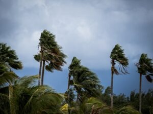 Preparing Your Florida Property for a Hurricane: How to Protect Your Assets and File an Effective Insurance Claim